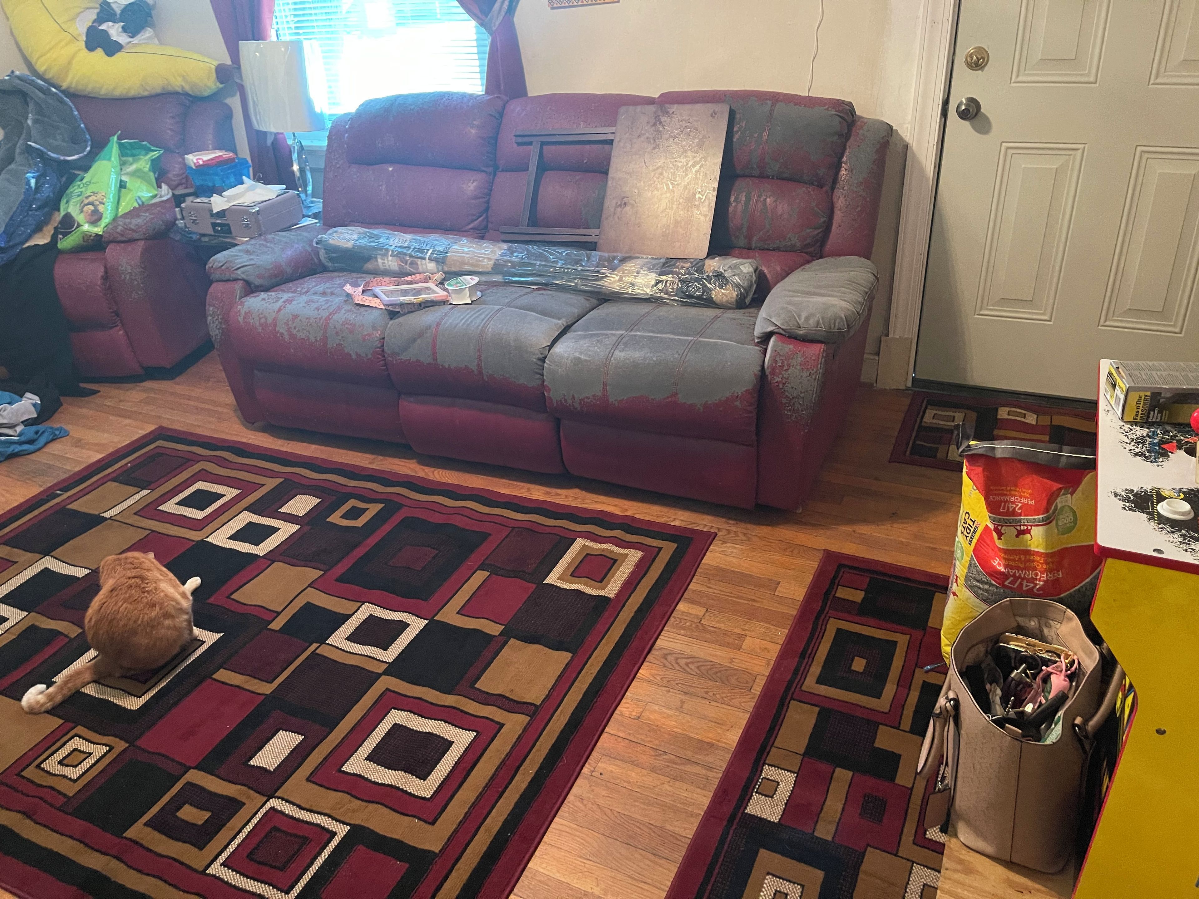 Una sala de estar con un sofá, un tapete estampado y un gato.
