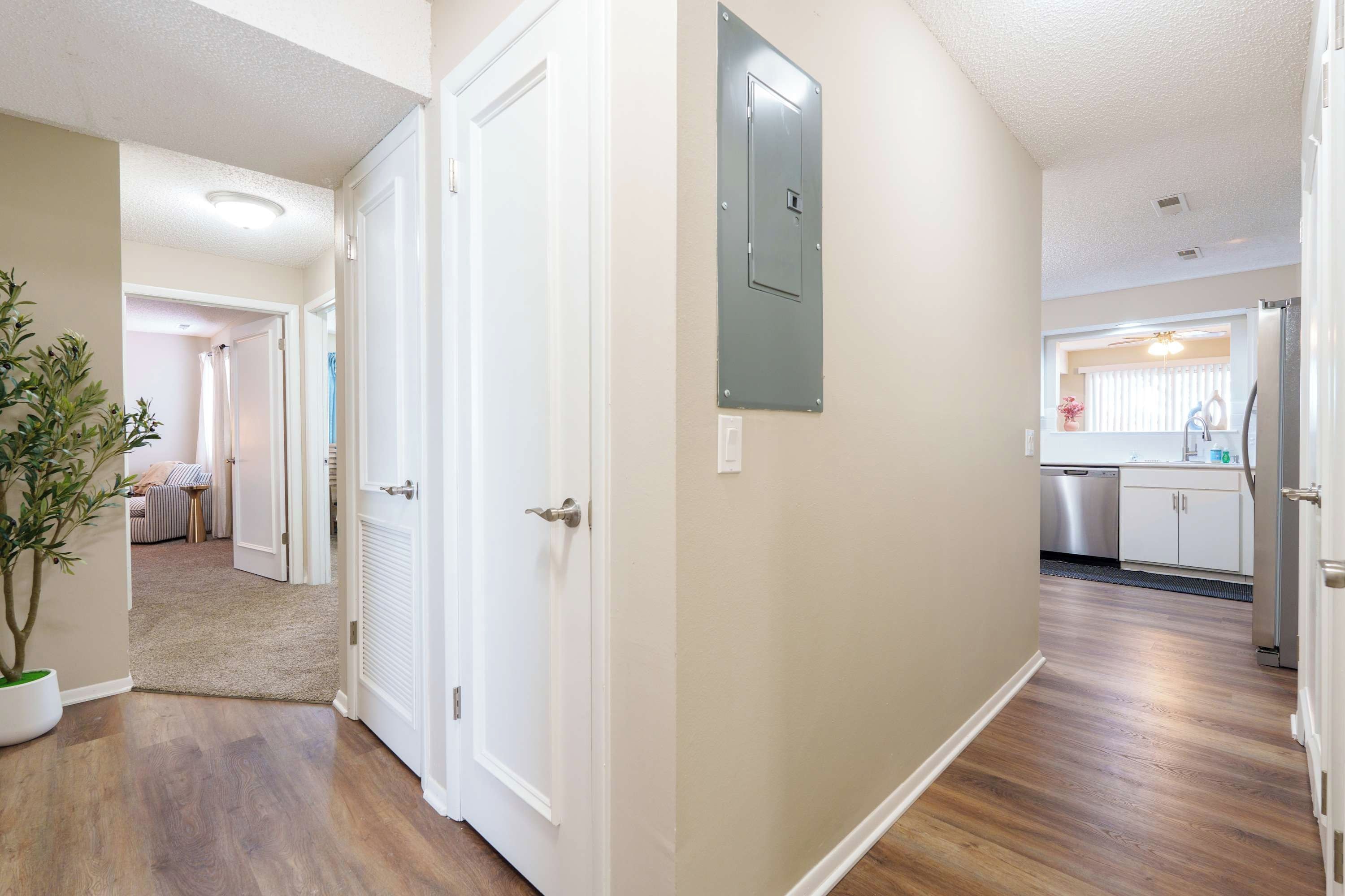 A hallway with a door, a potted plant, and a view into a kitchen area with appliances.