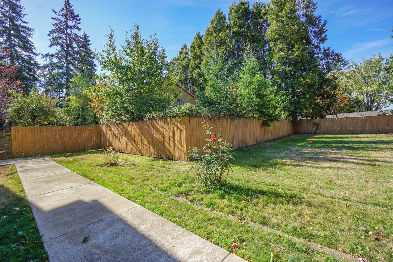 A backyard with a wooden fence, a concrete pathway, and a small garden area.