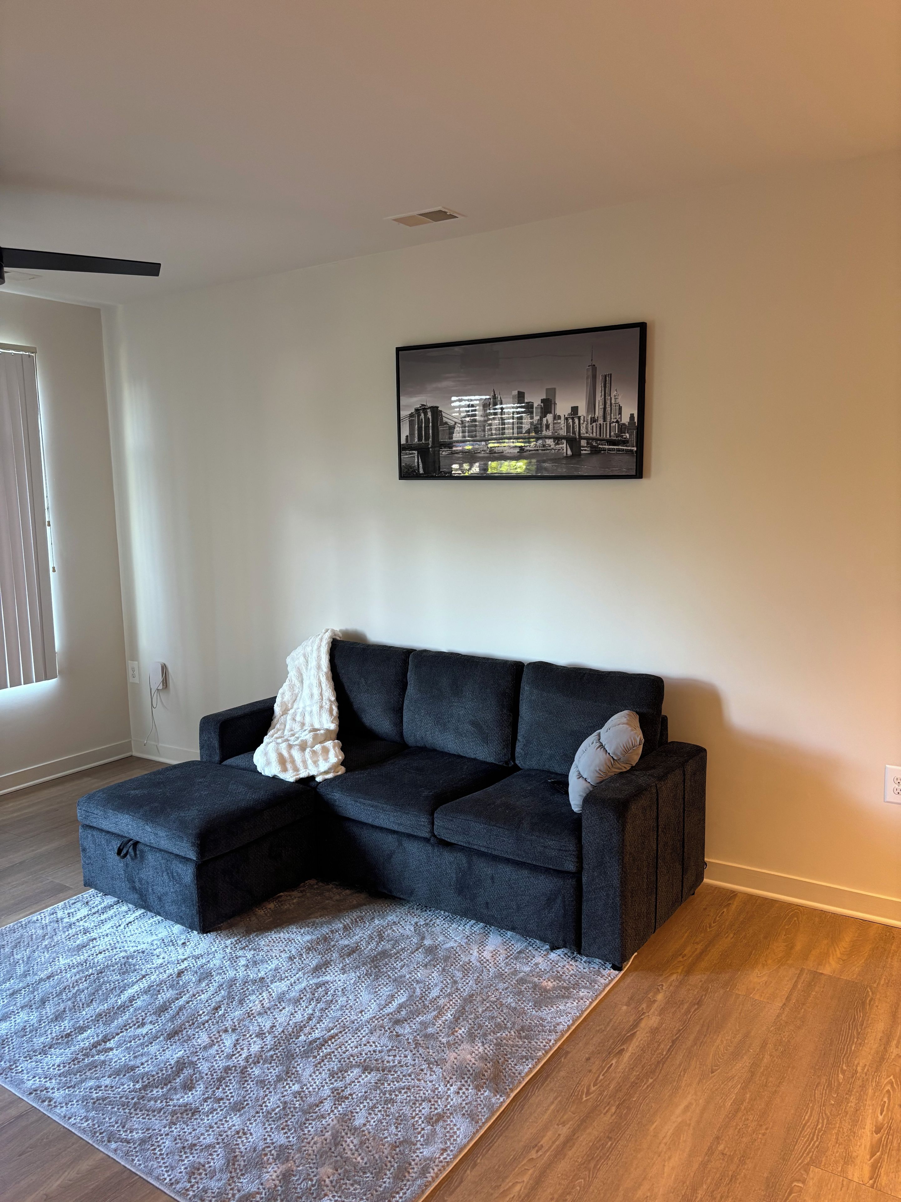Ein Wohnzimmer mit einem dunkelgrauen Sofa, einem gemusterten Teppich und einem Stadtbild an der Wand.