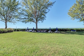 A grassy outdoor area with picnic tables and umbrellas, surrounded by trees and a view of the ocean. - Your Family-Friendly Beach Getaway on Longboat Key (Longboat Key)