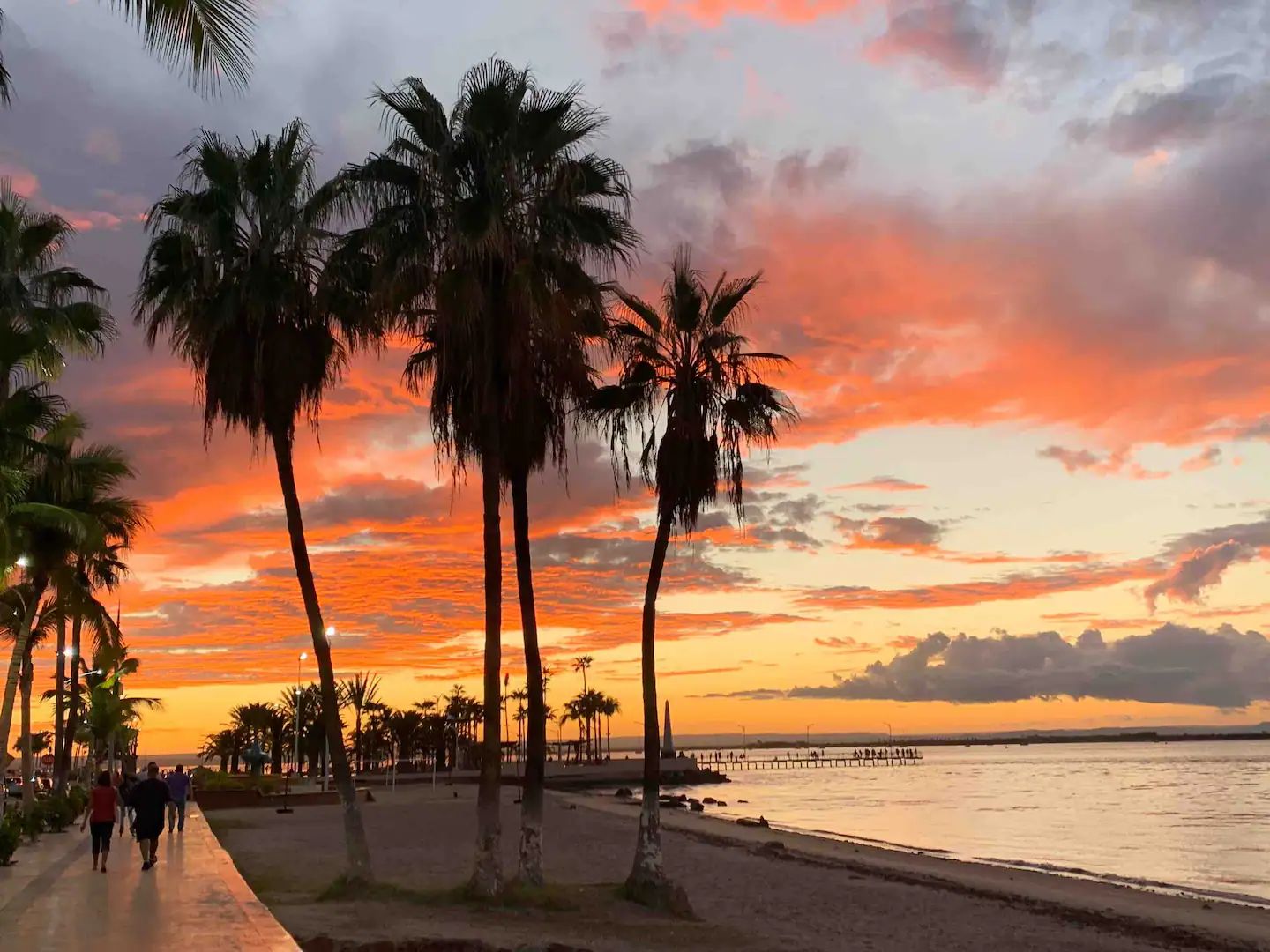 Une scène de plage avec des palmiers et un coucher de soleil.