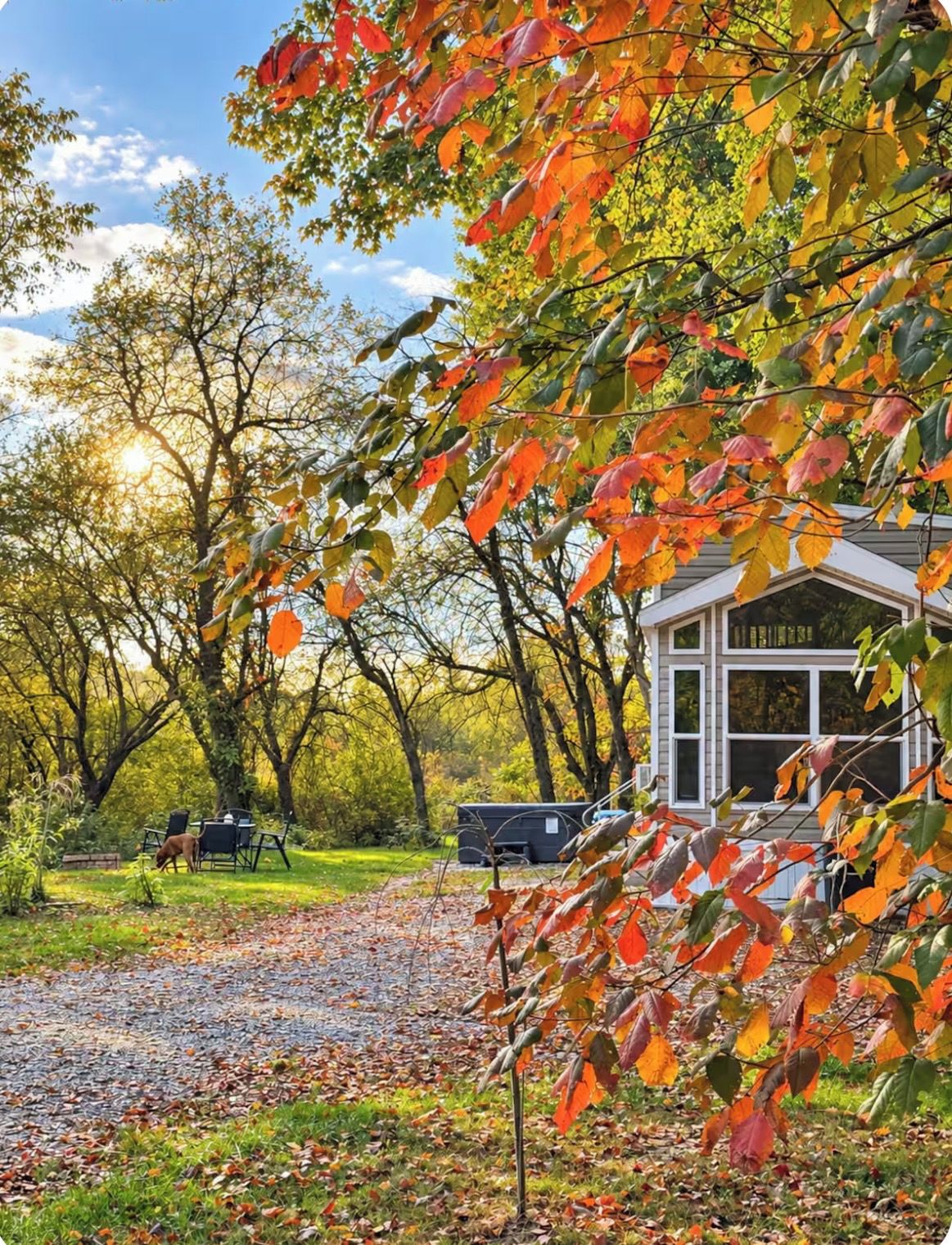 Een overdekt terras met tafels en stoelen, omgeven door bomen met herfstkleuren.