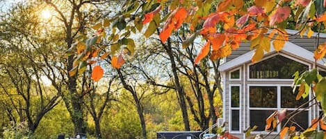 A covered outdoor seating area with tables and chairs, surrounded by trees with autumn foliage.
