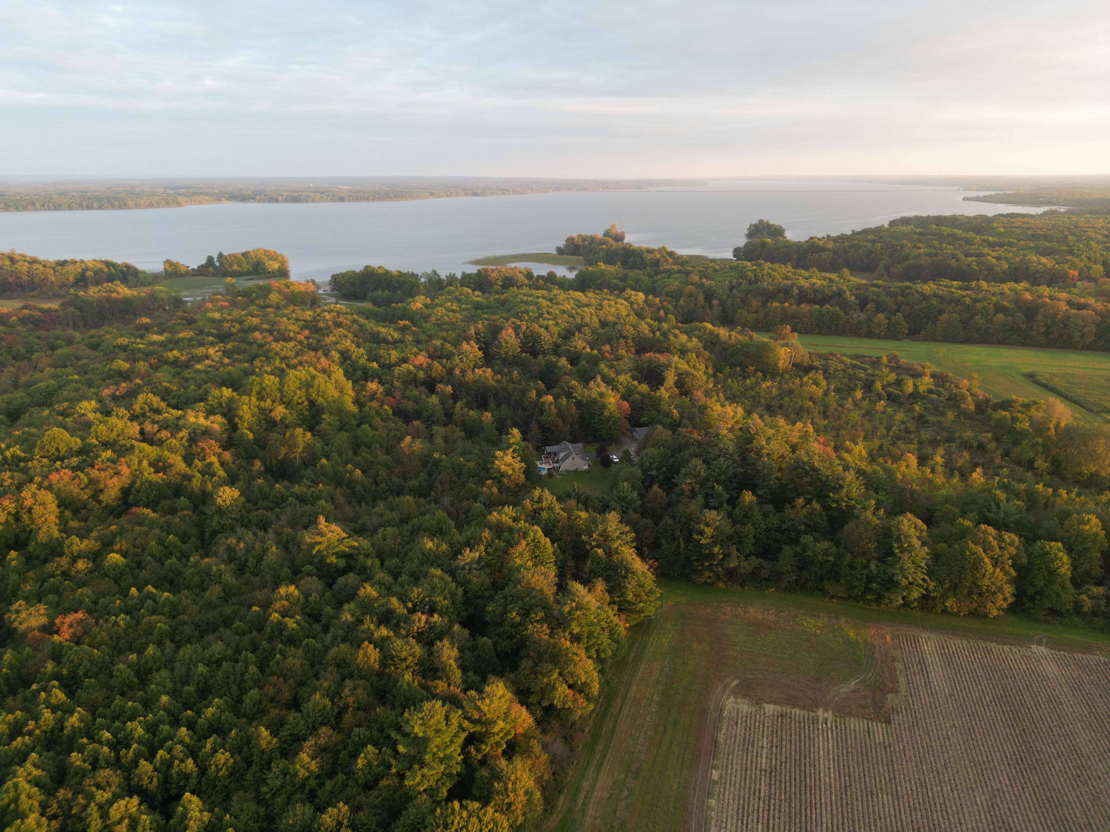 An aerial view of a forested area with a house surrounded by trees and a field.