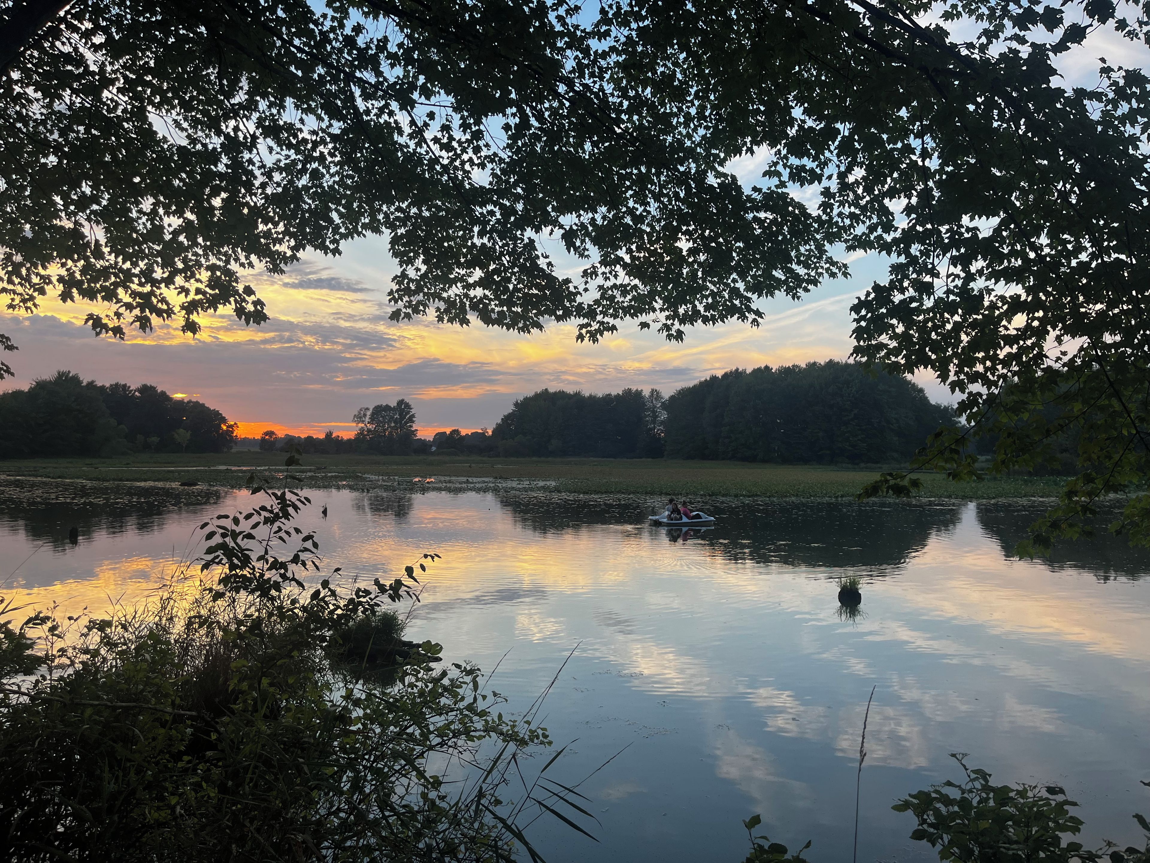 Tyyni järvi, jonka pinnassa heijastuvat puut ja auringonlasku.