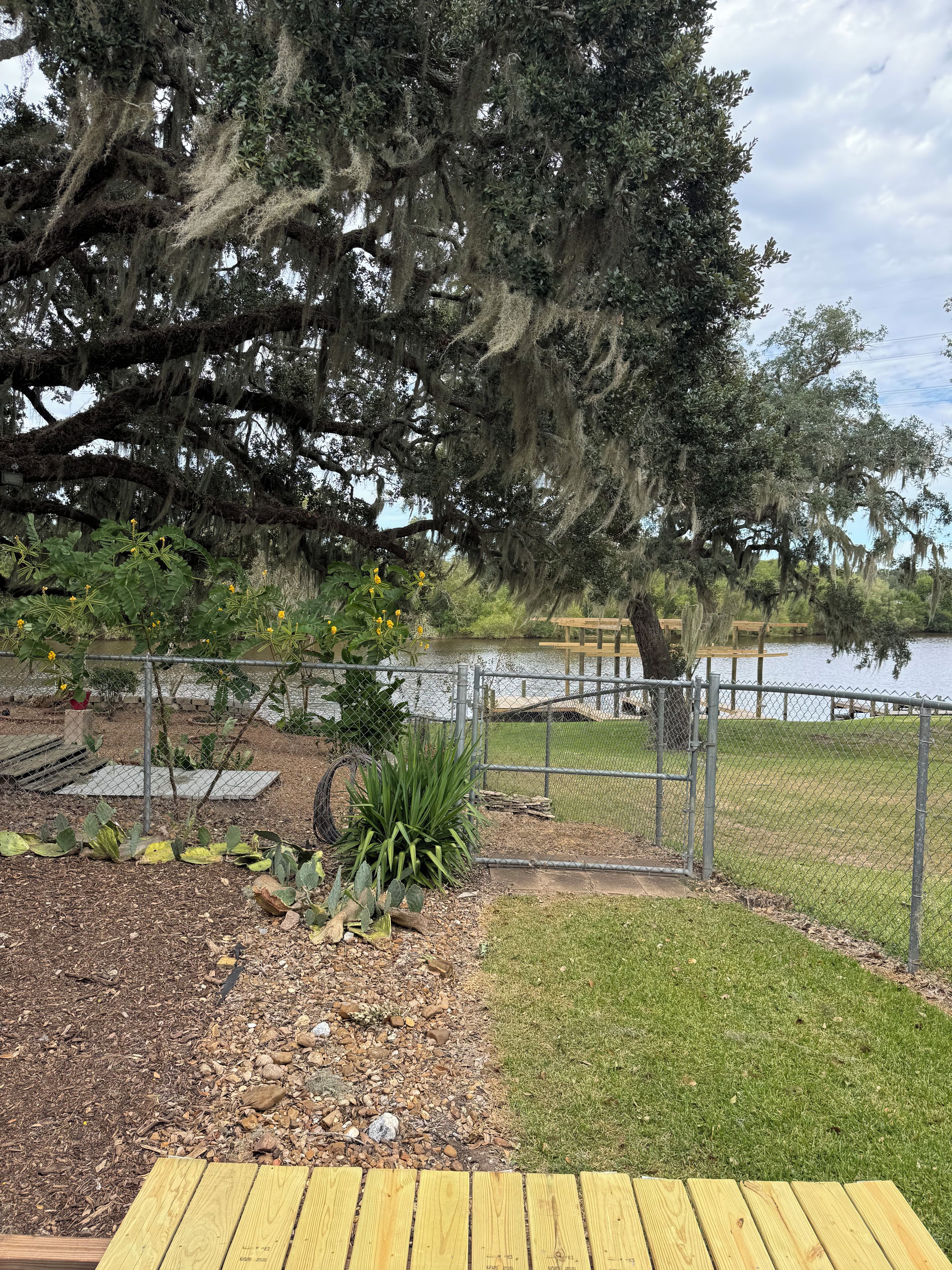 A fenced outdoor area with a wooden table, a grassy lawn, and a large tree with hanging moss.