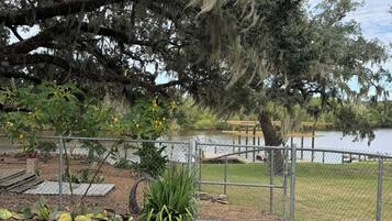 A fenced outdoor area with a wooden table, a grassy lawn, and a large tree with hanging moss.