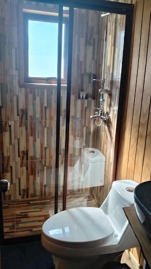 Un baño con inodoro, ducha y ventana.