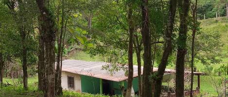 A rustic cabin surrounded by dense forest, with a thatched roof and a small porch.