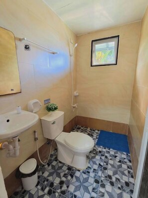 Une salle de bain avec des toilettes, un lavabo et une douche.