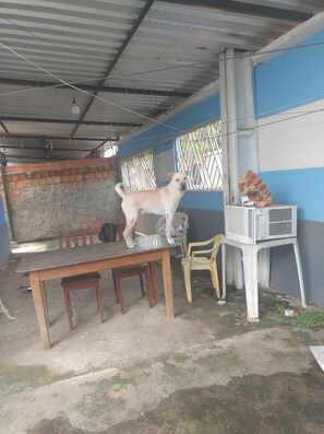 A dog standing on a table in a covered outdoor area with a brick wall, a blue and white wall, and a white air conditioning unit.