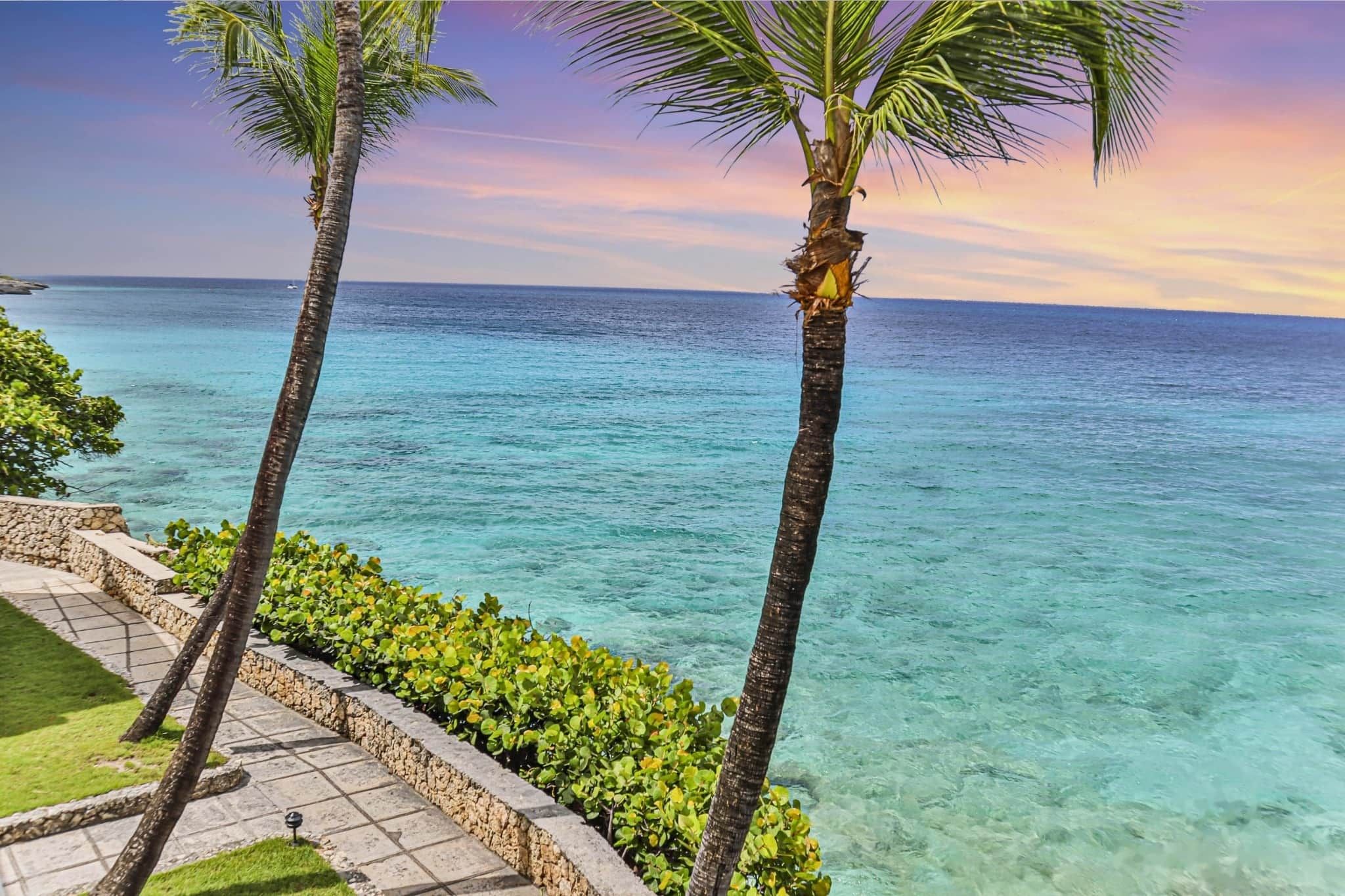 A coastal view with clear turquoise waters, palm trees, and a stone pathway leading to the beach.