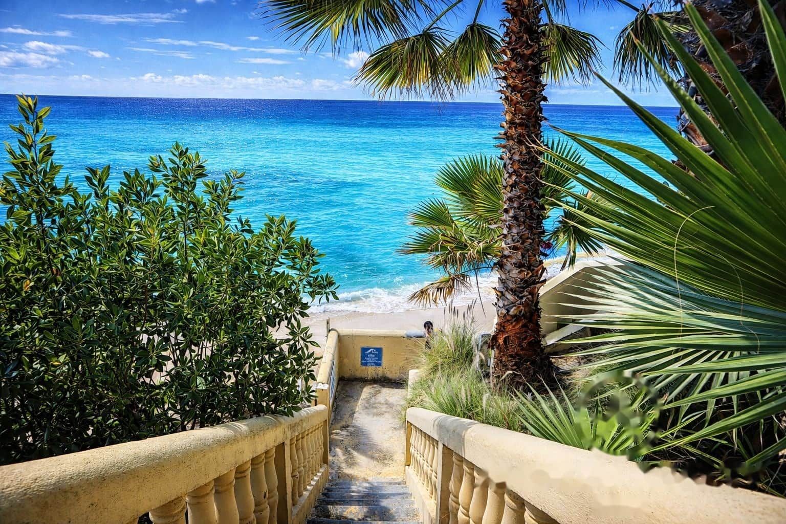 A pathway leading to a beach with a clear view of the ocean, surrounded by lush greenery and a palm tree.
