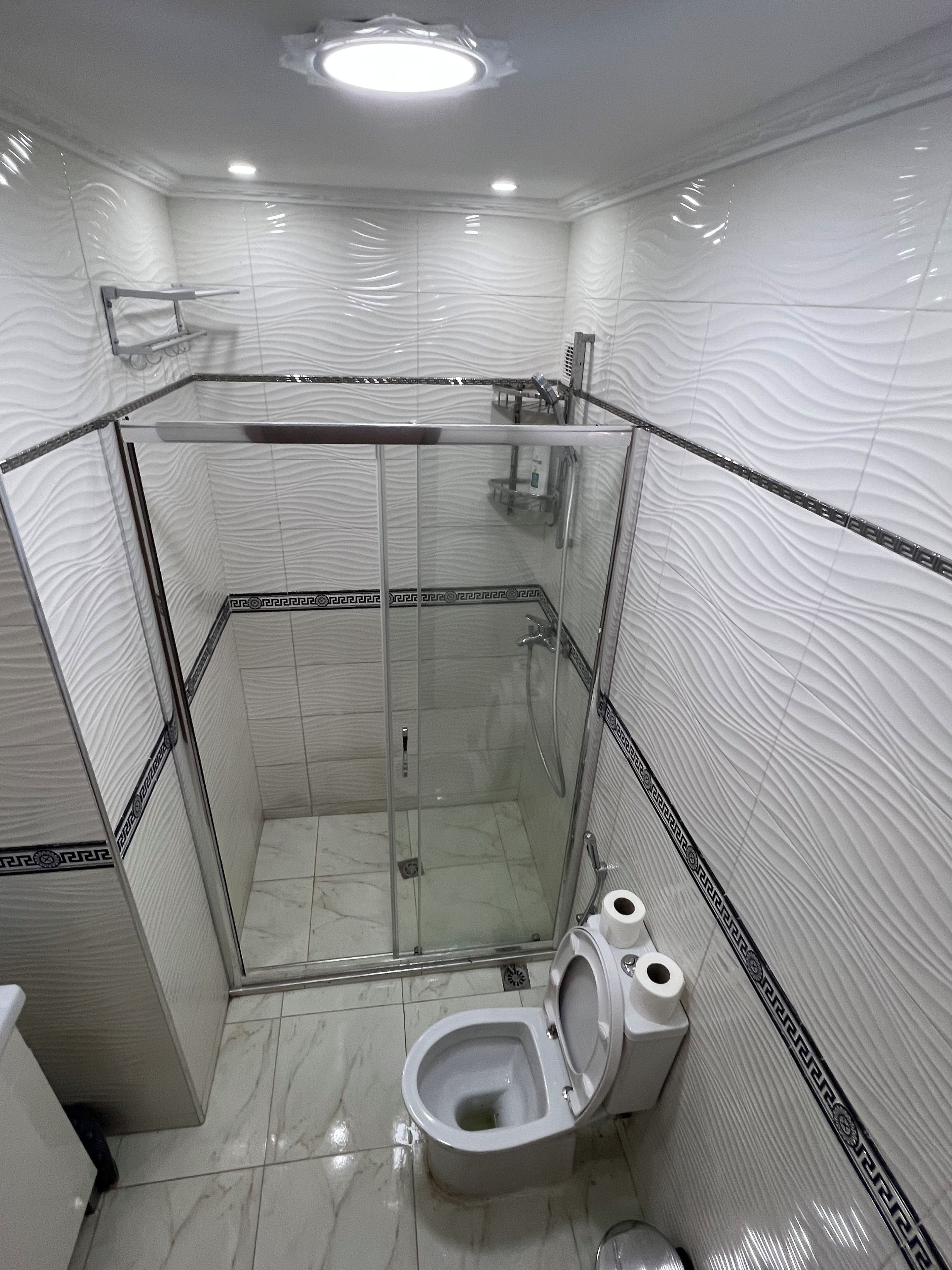 Une salle de bain avec une douche à parois de verre, des toilettes et un lavabo.