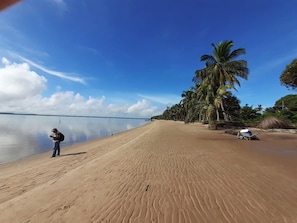 Uma praia arenosa com uma pessoa parada perto da água, palmeiras e um carrinho de mão.