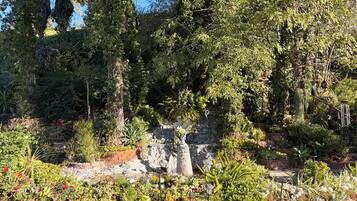Un jardin où l’on trouve une grande variété de plantes et une structure en pierre.