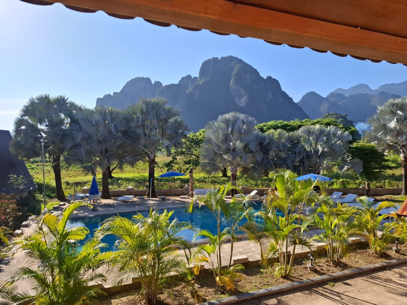 A pool area with palm trees and a mountain backdrop.