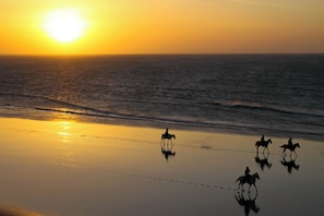 Une scène de plage au coucher du soleil, avec des vagues de l’océan et les silhouettes de personnes à cheval.