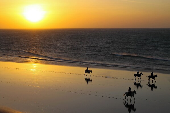 Scena di spiaggia con un tramonto, onde dell'oceano e sagome di persone a cavallo.