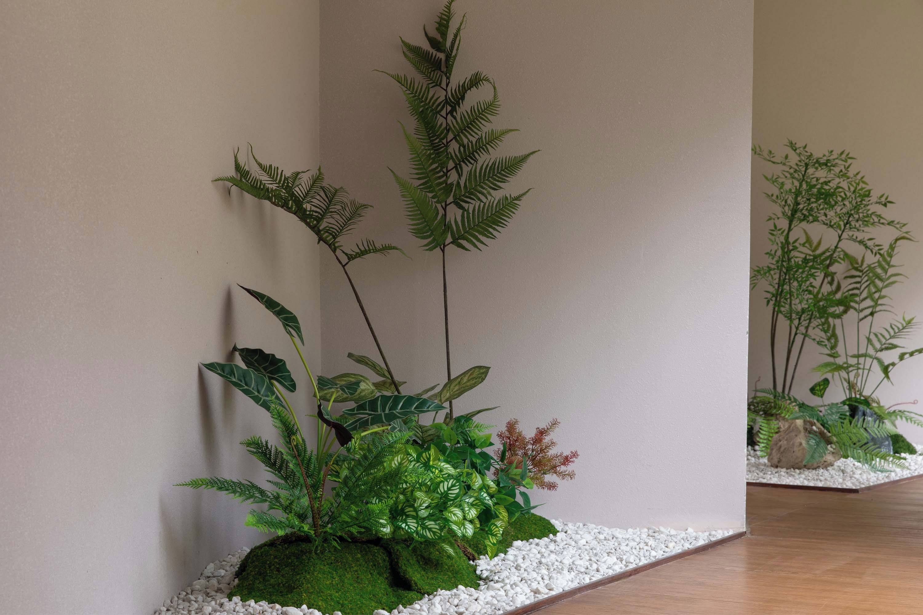 A room with a wooden floor, a white wall, and a small indoor garden with various plants and a moss-covered rock.