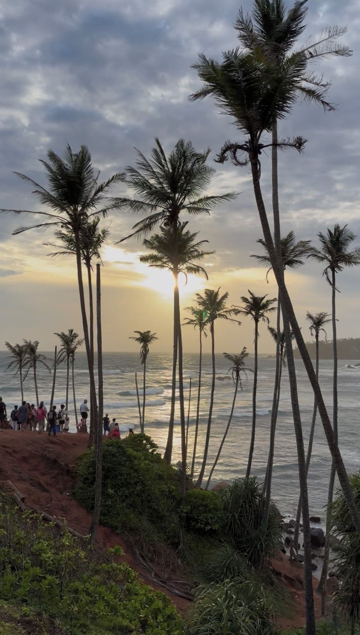 Una playa con palmeras y un atardecer.