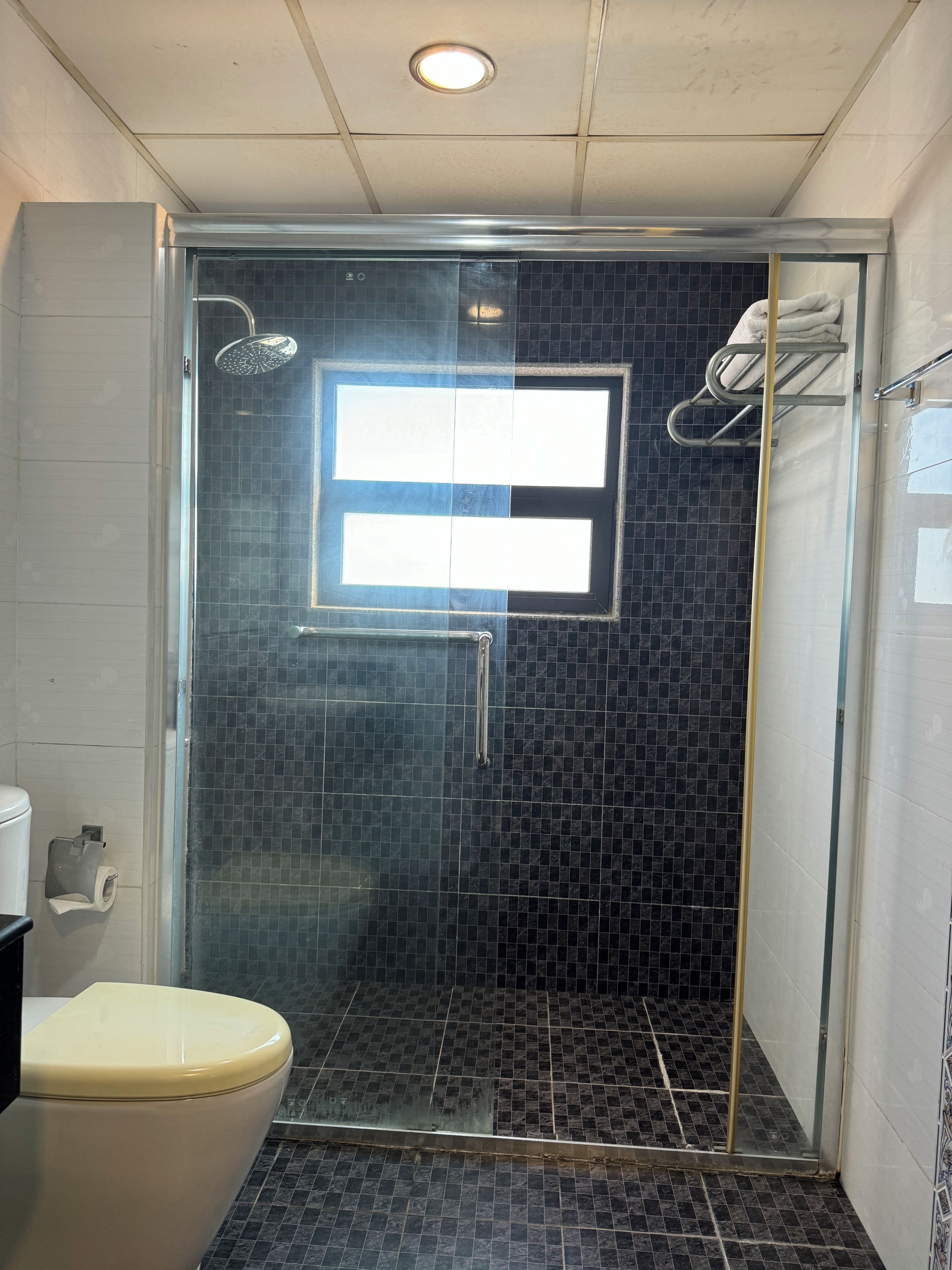 A bathroom with a glass-enclosed shower, a toilet, and a towel rack.
