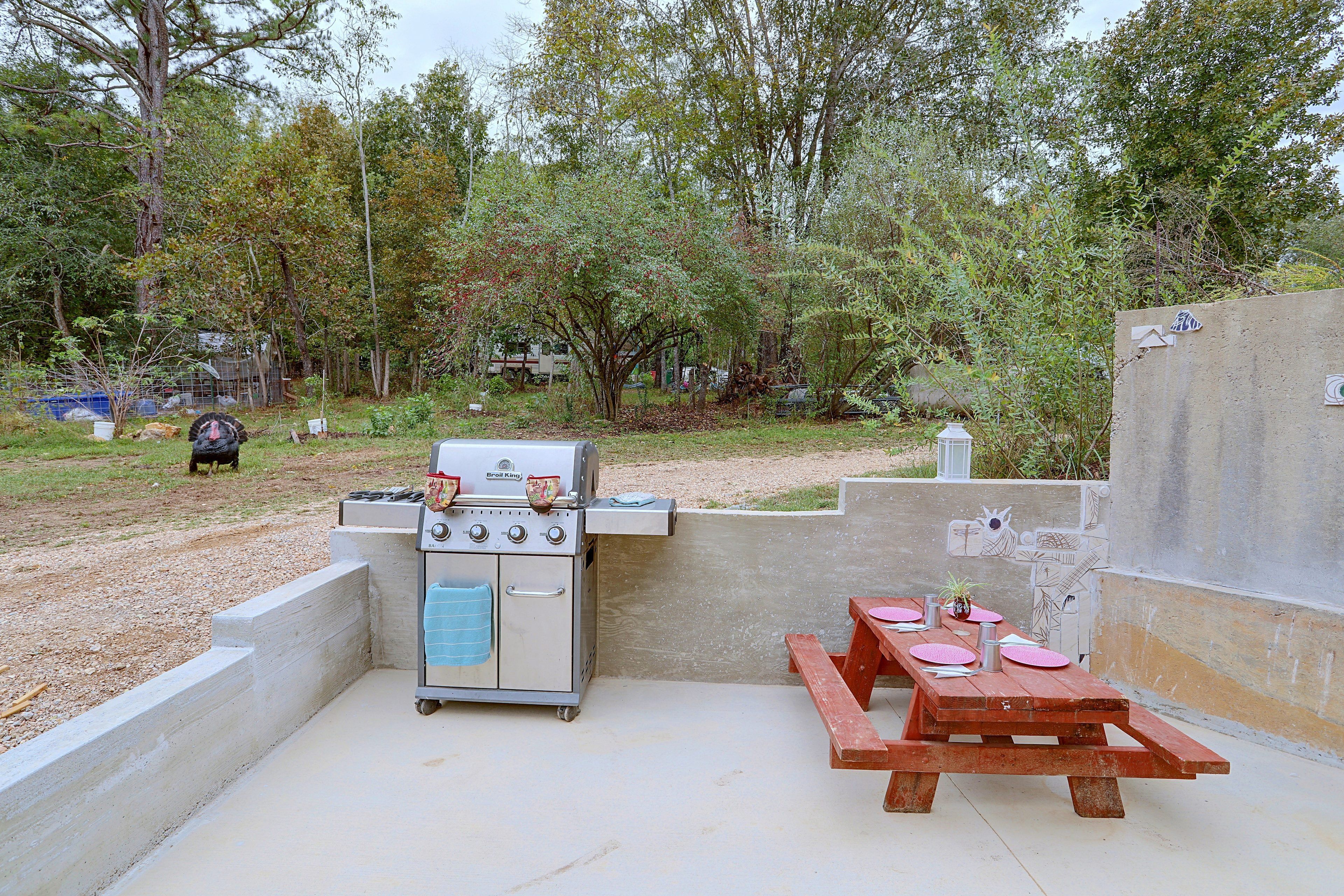 Zona de barbacoa al aire libre con parrilla, mesa de picnic y abundante vegetación.