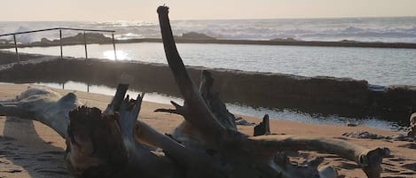 A beach scene with a large fallen tree trunk, a metal railing, and a calm sea.