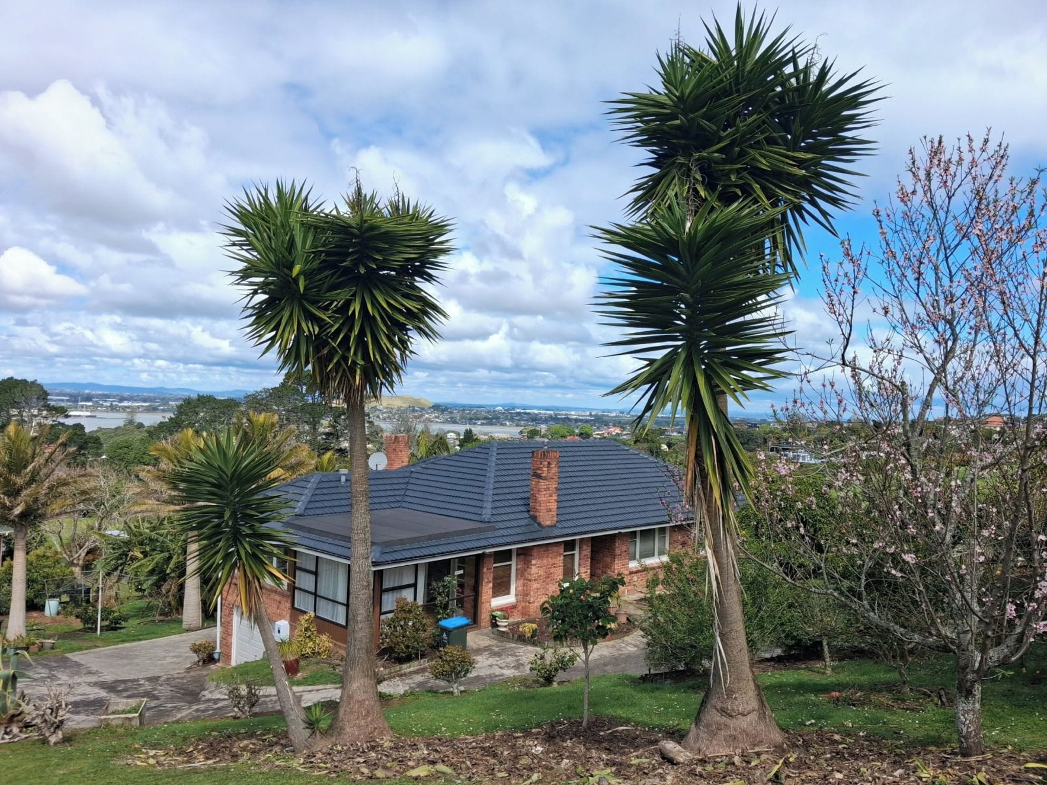 Una casa con fachada de ladrillo, rodeada de palmeras y vista a un paisaje urbano.