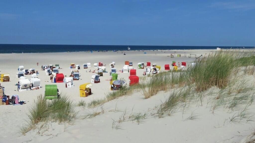 A beach with numerous colorful beach chairs and umbrellas.