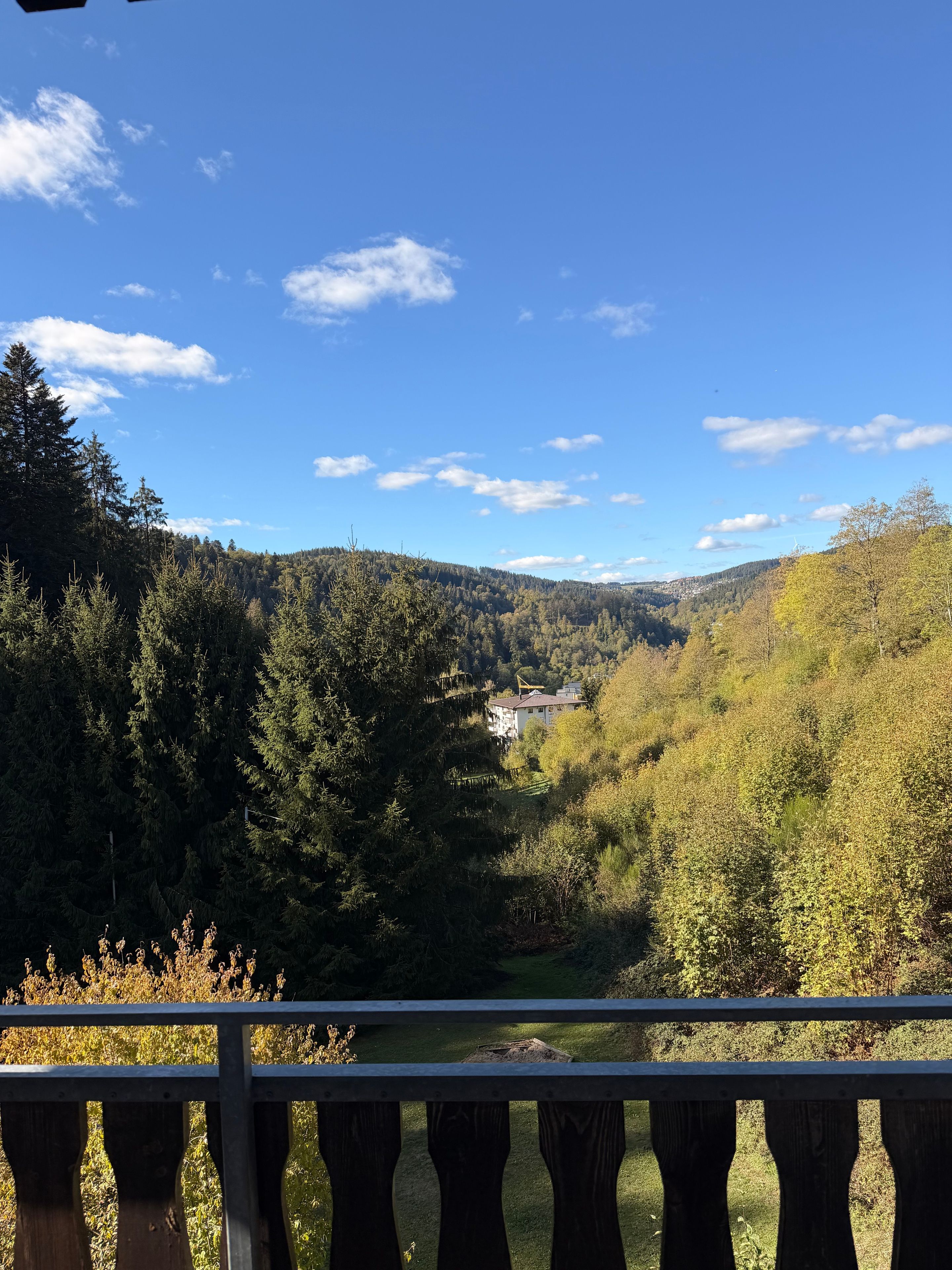 A view from a balcony with a railing, overlooking a valley with dense forest and a building in the distance.