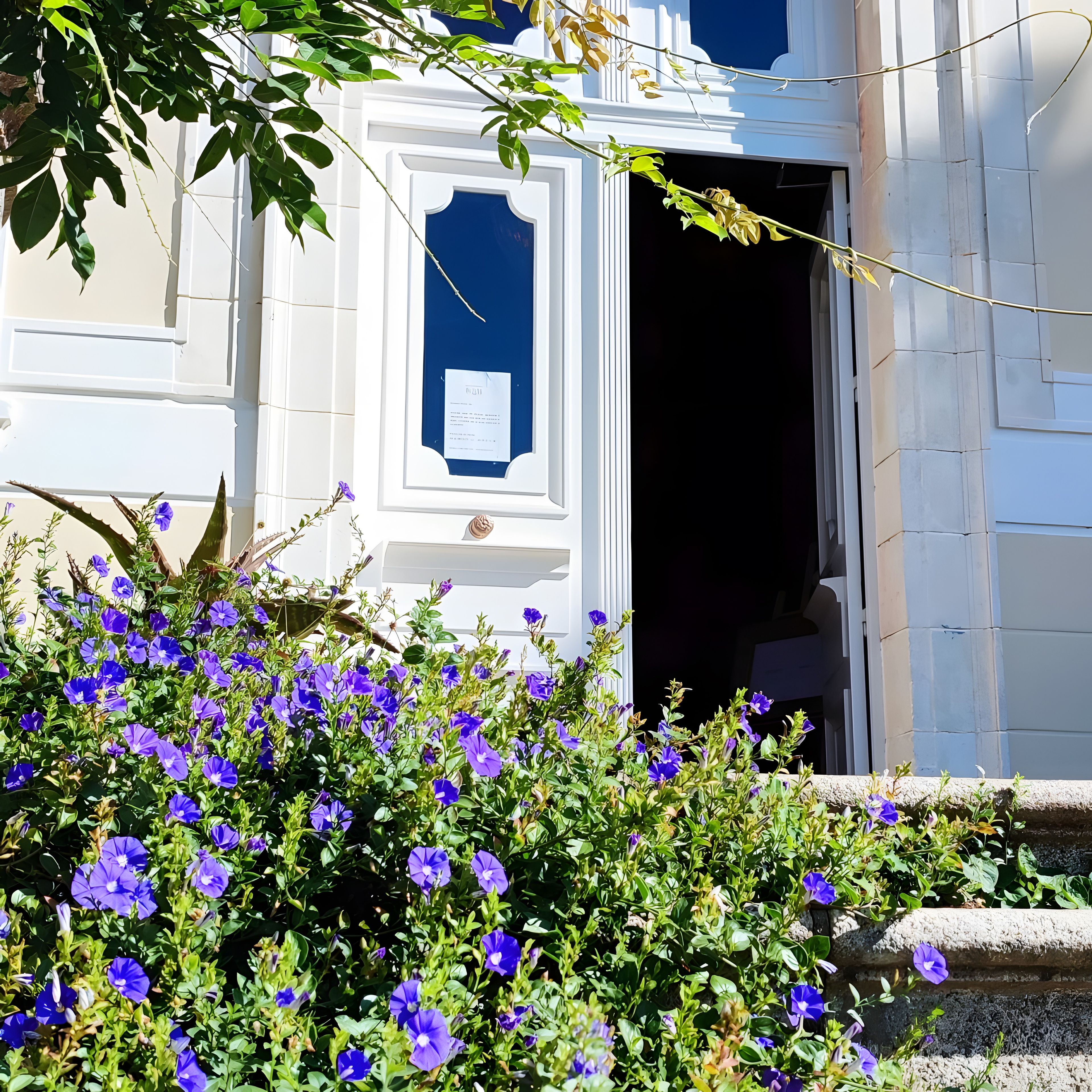 A building with a white facade, a door with a blue frame, and a window with a framed notice.
