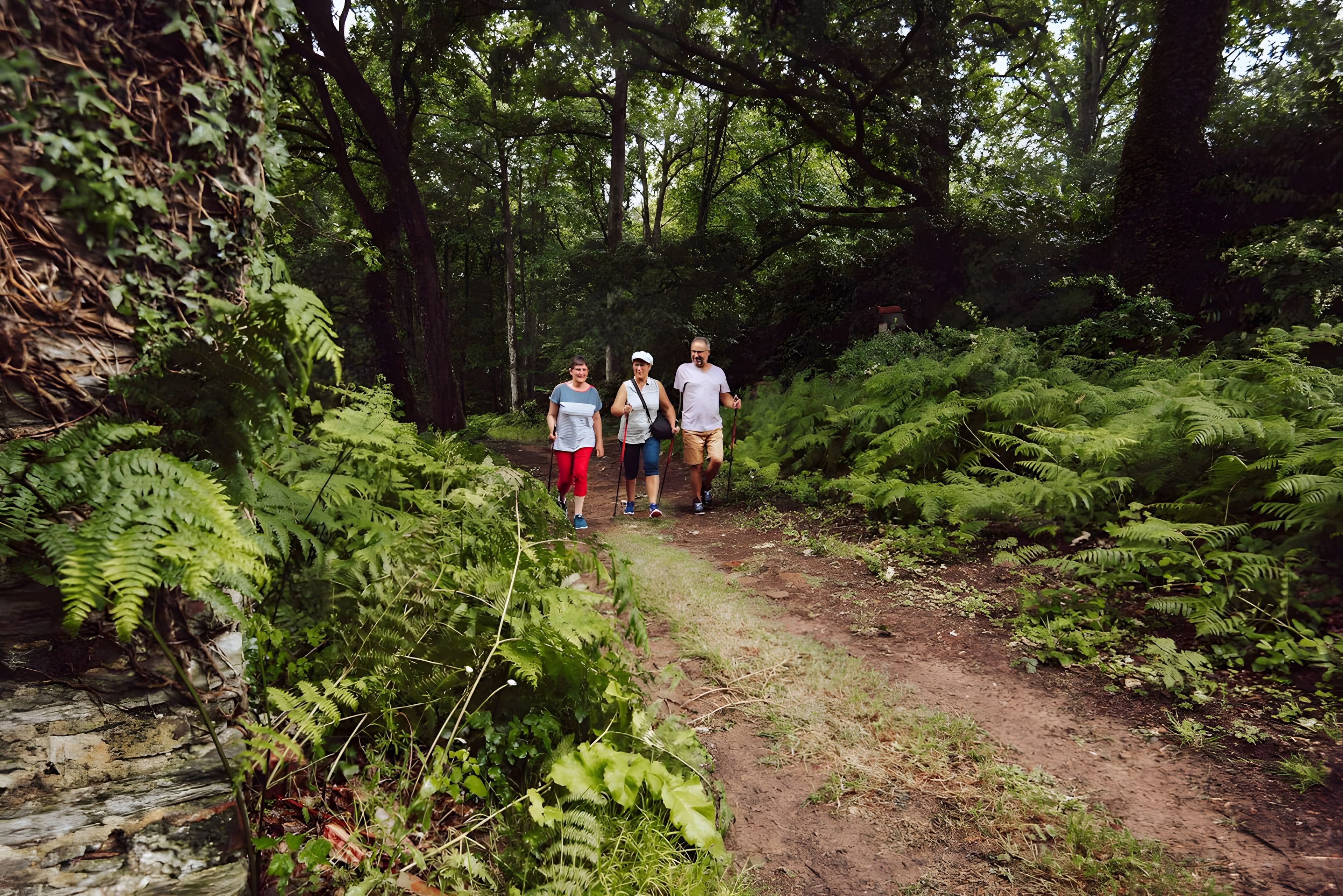 A group of people walking on a dirt path surrounded by dense green foliage.