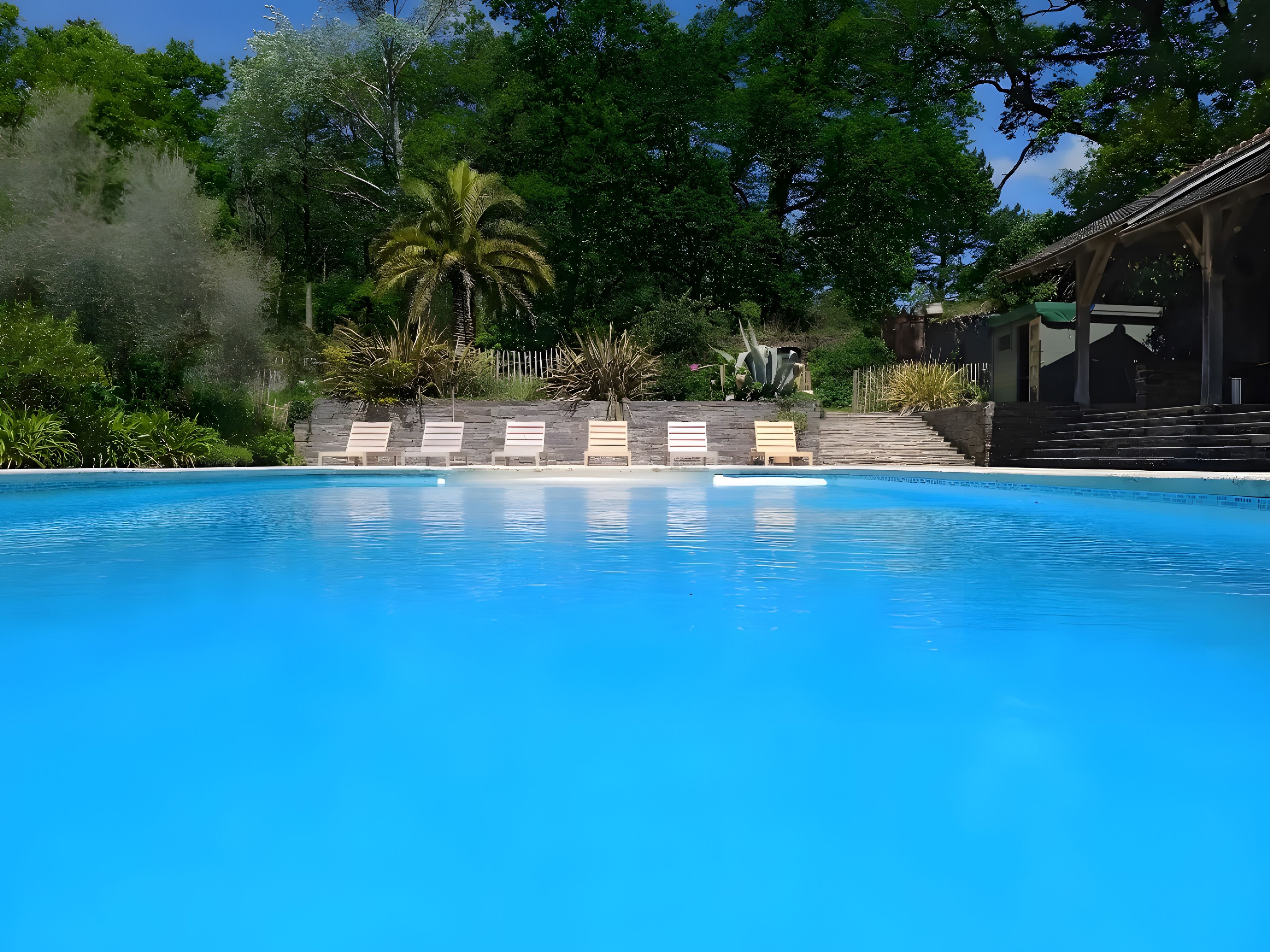 A clear blue pool with lounge chairs and a palm tree.