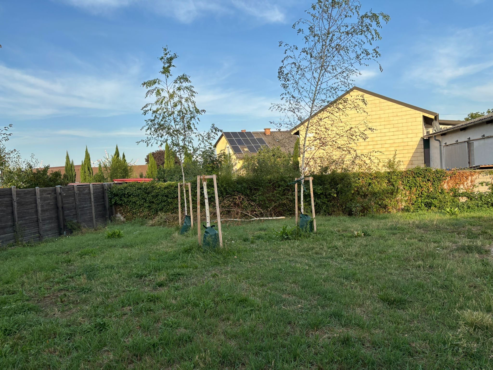 Ein Wohnhausgarten mit Rasenfläche, Holzzaun und einem Haus mit Solaranlage.