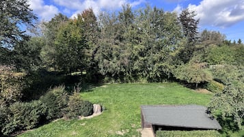 A grassy area with a small building, surrounded by dense trees.