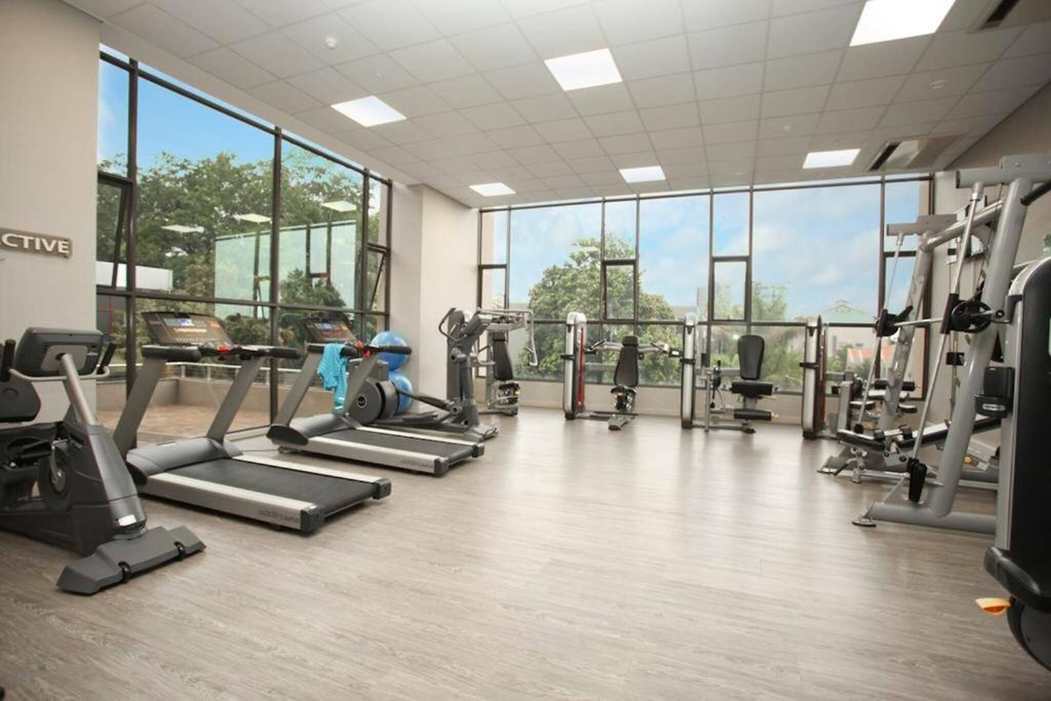 A gym with treadmills, weight machines, and a large window offering a view of trees.