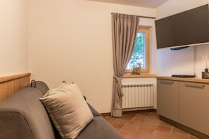 Une pièce de taille modeste, comprenant un canapé, une fenêtre avec des rideaux, un radiateur et un téléviseur à écran plat fixé au mur.