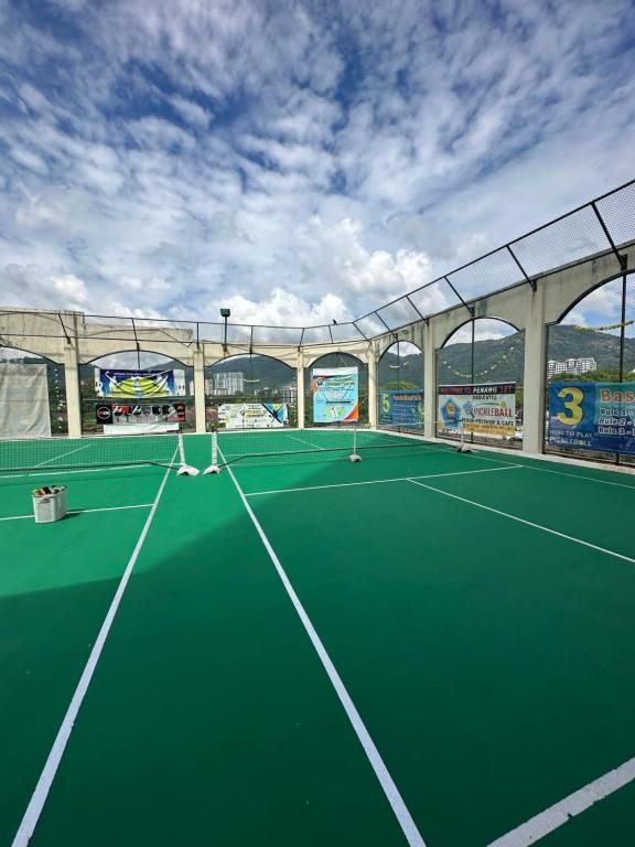 An indoor tennis court with a green surface, white boundary lines, and a net.