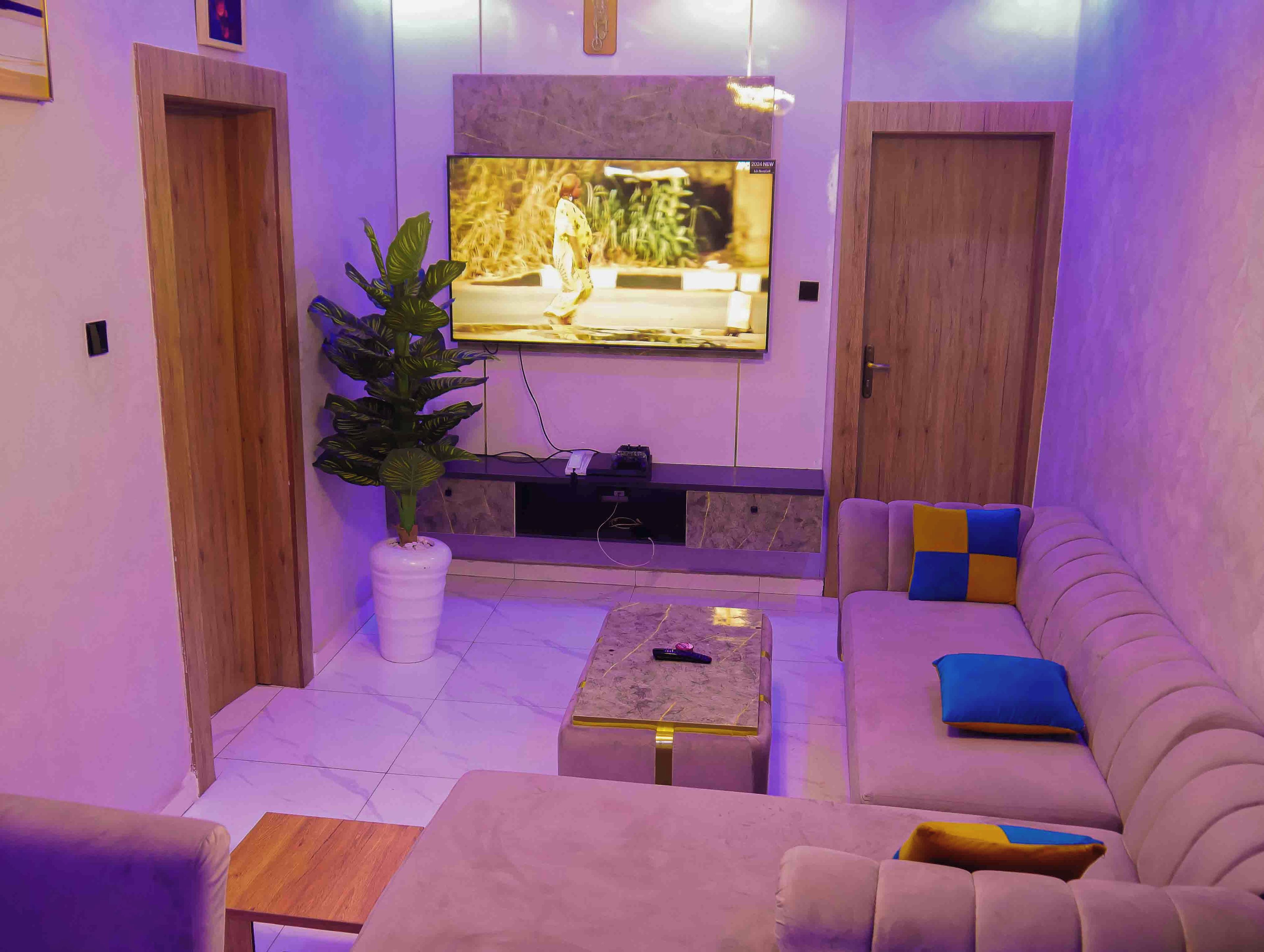 A modern living room with a flat-screen TV mounted on the wall, a large potted plant, a sofa with colorful cushions, and a coffee table.