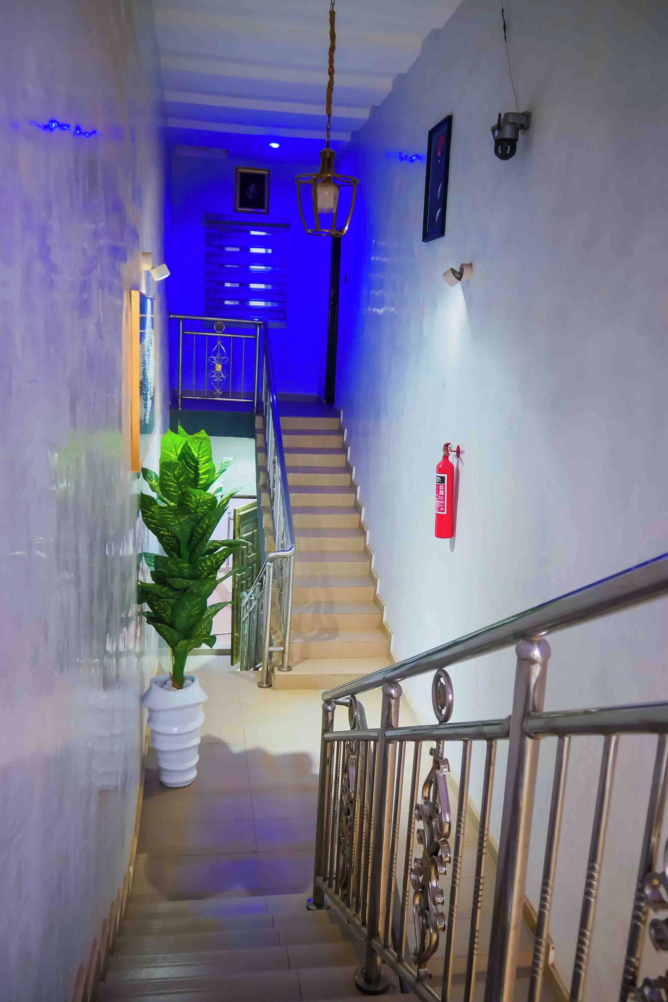 A staircase with a metal railing, a fire extinguisher mounted on the wall, and a potted plant at the bottom.