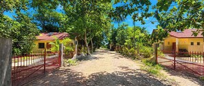 A pathway leading to a row of houses with red fences, surrounded by trees and greenery.