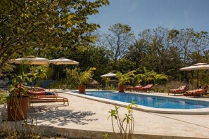 A swimming pool with lounge chairs and umbrellas, surrounded by greenery.