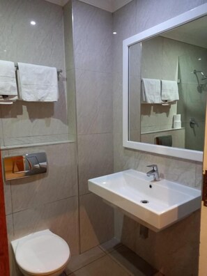 Un baño con inodoro, lavamanos y espejo.
