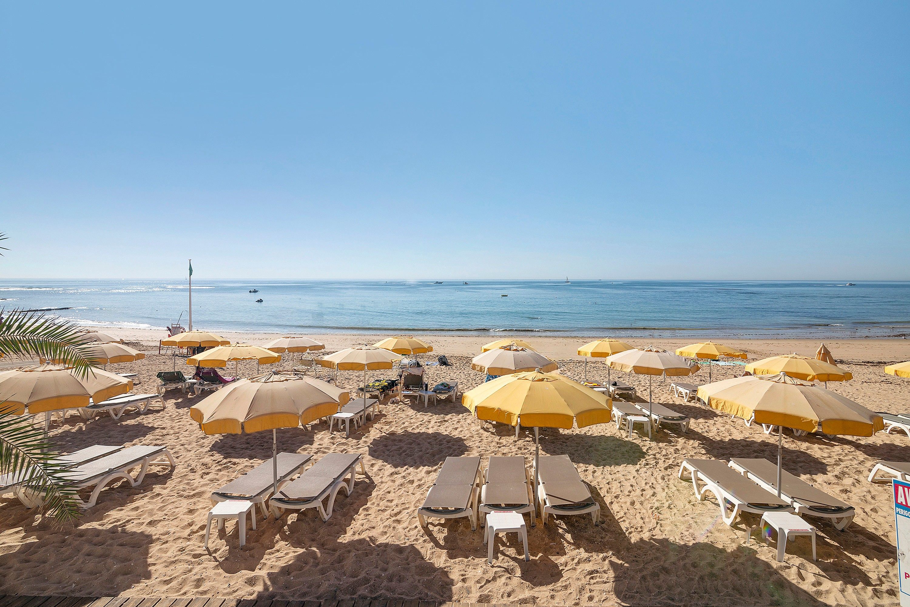 Une plage bordée de rangées de chaises longues et de parasols jaunes.
