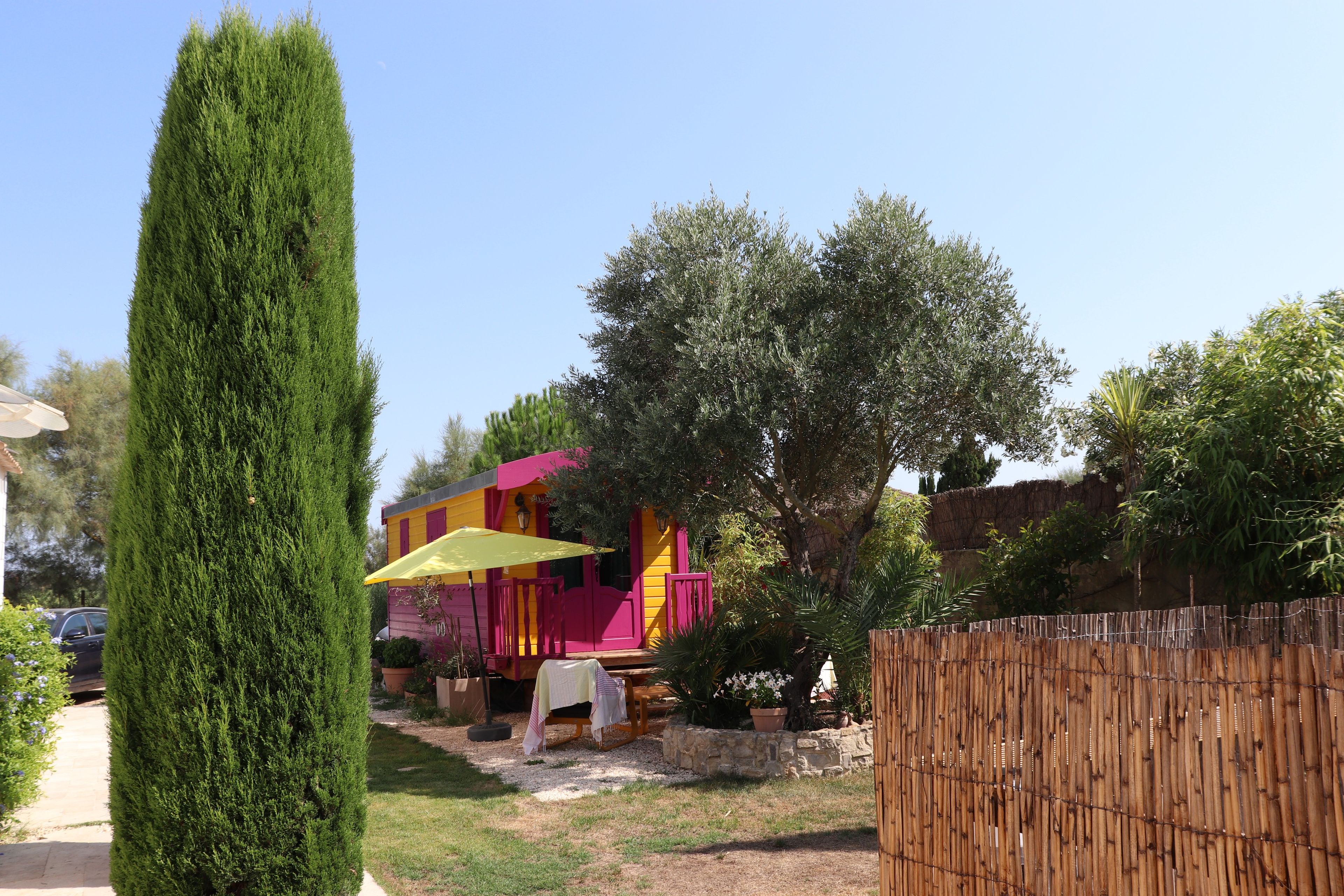 Un cortile recintato con un alto albero sempreverde, un edificio colorato con un ombrello giallo e un muro in pietra.