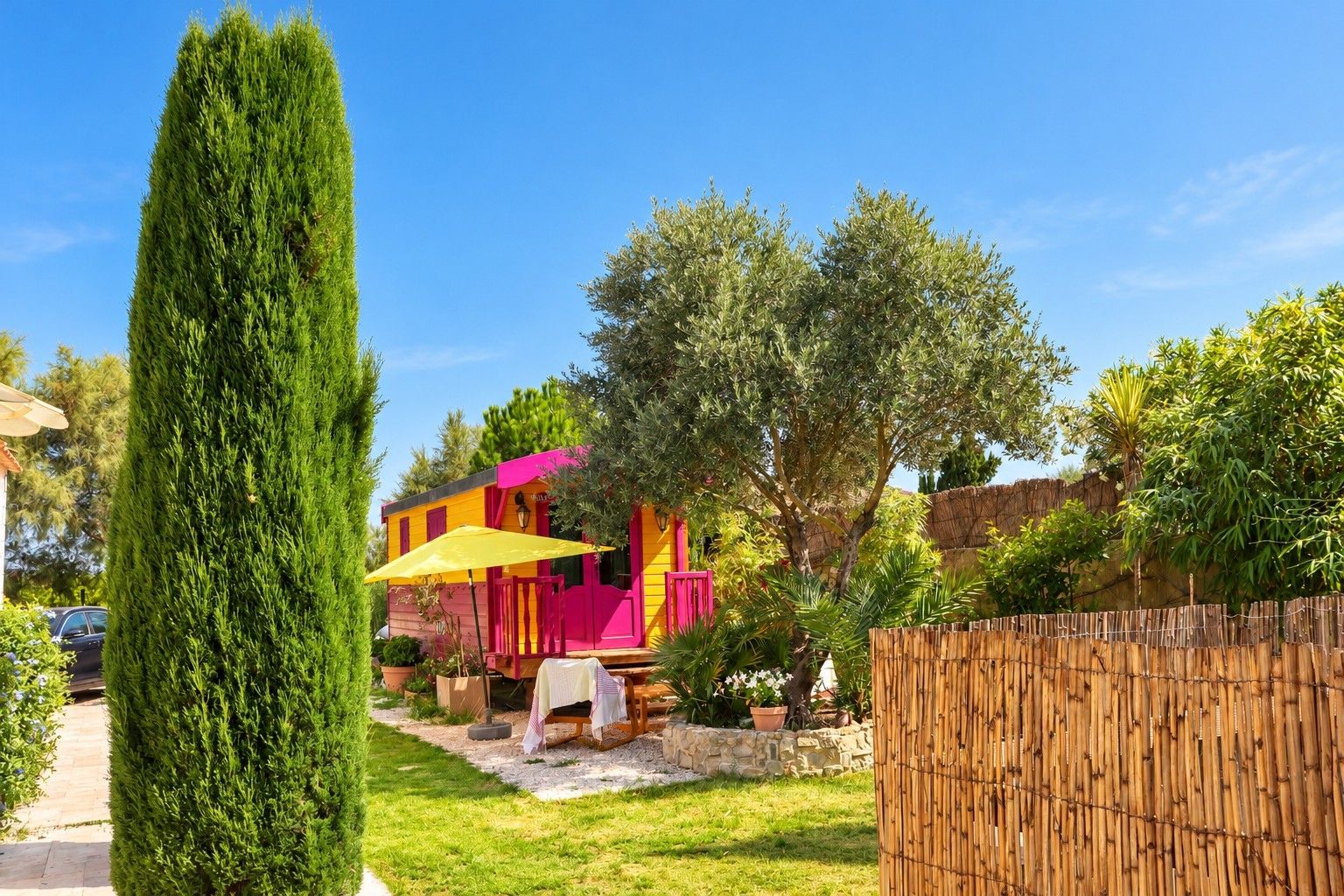 A vibrant outdoor area with a tall conifer, a wooden fence, and a colorful building with a yellow umbrella.