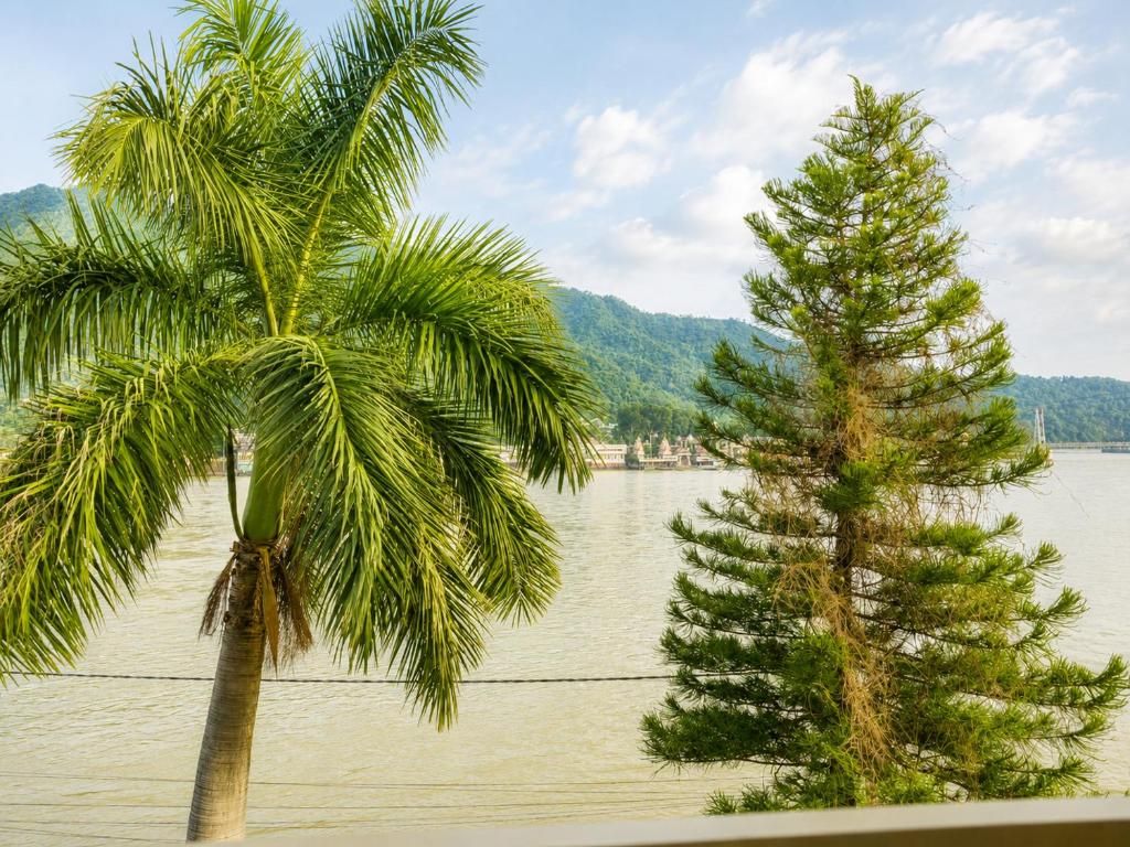 Pemandangan dari hartanah