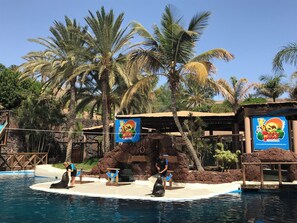 A pool area with a water slide, palm trees, and a sign for Oasis Park. - 🌟 CASA MIMOSA Two Bedroom Apartment Central Caleta Pool Private Roof Terrace 🌟 (Castillo Caleta de Fuste)